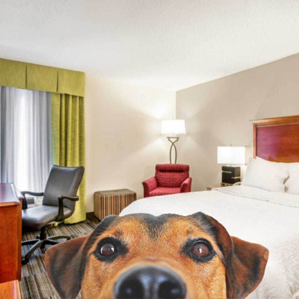 Hampton Inn Bowling Green Ky Экстерьер фото